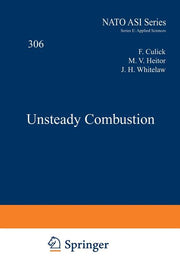 Unsteady Combustion (Softcover Reprint of the Original 1st 1996)