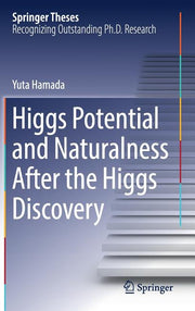 Higgs Potential and Naturalness After the Higgs Discovery (2017)