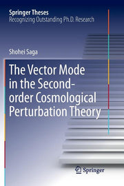 The Vector Mode in the Second-Order Cosmological Perturbation Theory (Softcover Reprint of the Original 1st 2018)