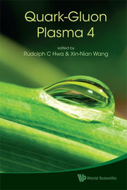 Quark-Gluon Plasma 4